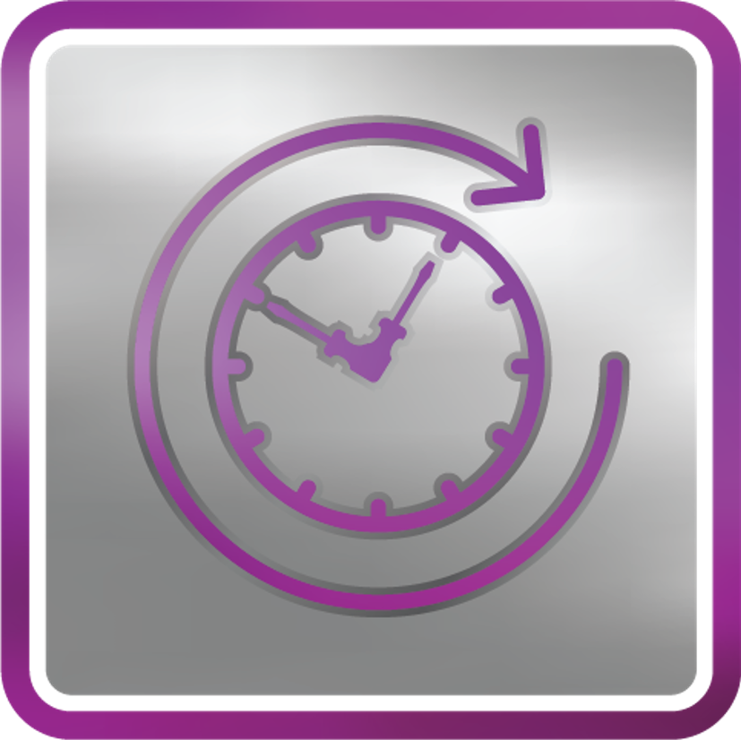 Werner-Quick-Installation-Icon